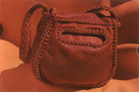  This picture, of the back of the purse, shows the oval opening to the full size back pocket. 